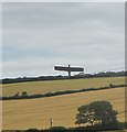 NZ2657 : The Angel of the North by Anthony Parkes