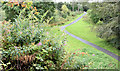 Paths, Belvoir forest, Belfast (August 2014)