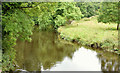 The River Lagan, Belvoir forest, Belfast (August 2014)