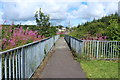 Footbridge over the River Ayr at Muirkirk