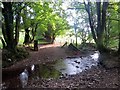 Nant Hafren Stream