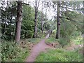 Suspension bridge, Burn of Aberlour