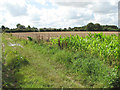 View towards Hall Farm