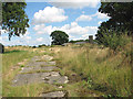 Concreted road leading to Site 1