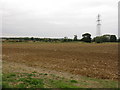 Flat field and a pylon