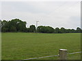 Field and wires