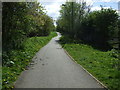 Cycle path on disused railway