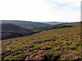 NT6401 : Moorland south-west of ridge on Haggie Knowe by Andrew Curtis