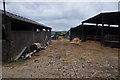 North Devon : Hollick Farm