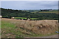 North Devon : Countryside Scenery