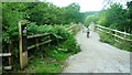 Bridge at Cannop Cycle Centre