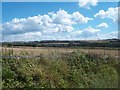 Crop Fields South of Woodthorpe