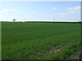 Crop field off the B6417