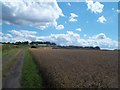 Farm Track Leading to Woodside