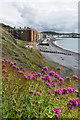 Victoria Terrace and North Beach