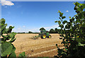 Tractor working at Upper Dornford Farm