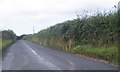 Lane heading into Rosedown