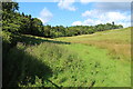 Farmland & Woodland near Drum Farm