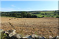 Farmland at Shancastle