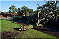 Storm damage on Marfleet Lane, Hull