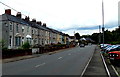 Long row of houses in Station Road, Griffithstown, Pontypool