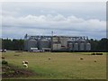 Grain drying plant