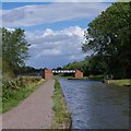 SK4374 : Chesterfield Canal near Staveley by Andrew Hill