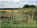 The beginning of the bridleway to Tusmore