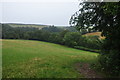 SS5622 : Torridge : Grassy Field by Lewis Clarke