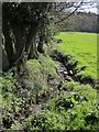 Tributary of the Thornton Beck