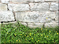 Bench mark, Step Farm, Laxton