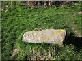 SE2863 : Carved stone, Cayton Grange by Derek Harper