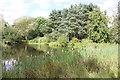 Pond at Jodrell Bank Discovery Centre Gardens