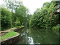 Mill pond, Higher Mill, Helmshore