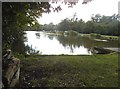 The Long Pond on Totteridge Common