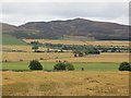 Straw, Burngrange