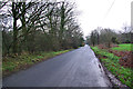 Lane near Piltdown Golf Club