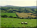 Gortinagin Townland