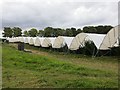 Polytunnels, Kettins