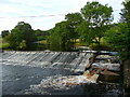 SD8165 : The weir and salmon ladder at Locks by Humphrey Bolton