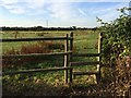 Footpath leading south from Lower Strode Road