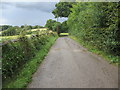 Track to Strood Farm