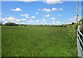 Field near St Ive Cross