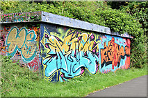 J3470 : Graffiti, Lagan towpath, Stranmillis, Belfast (August 2014) by Albert Bridge
