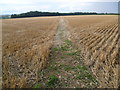 Footpath to Normanton Park Road