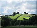 Hill near Wetley Rocks