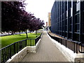 H4572 : Pathway along County Hall, Omagh by Kenneth  Allen