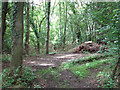 Remains of WW2 RAF campsite