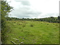 Pasture land near Mydroilyn