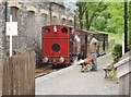 Narrow gauge train at Maespoeth